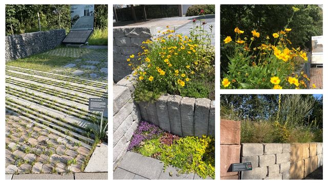 Ideen für biodiverse Gartengestaltung im FCN-Mustergarten Seiferts