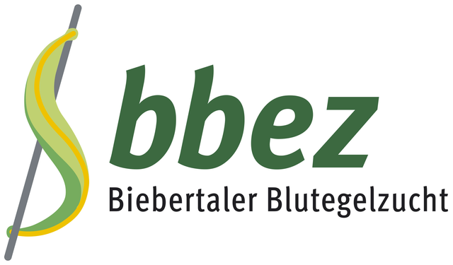 logo bbez